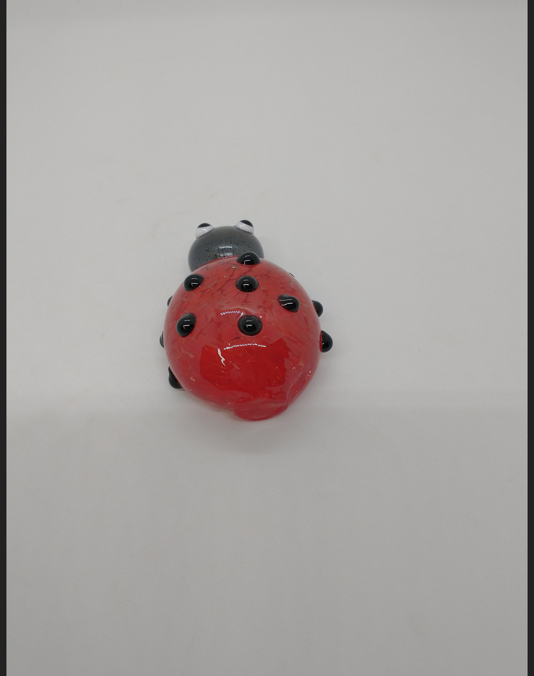 Single glass lady bug