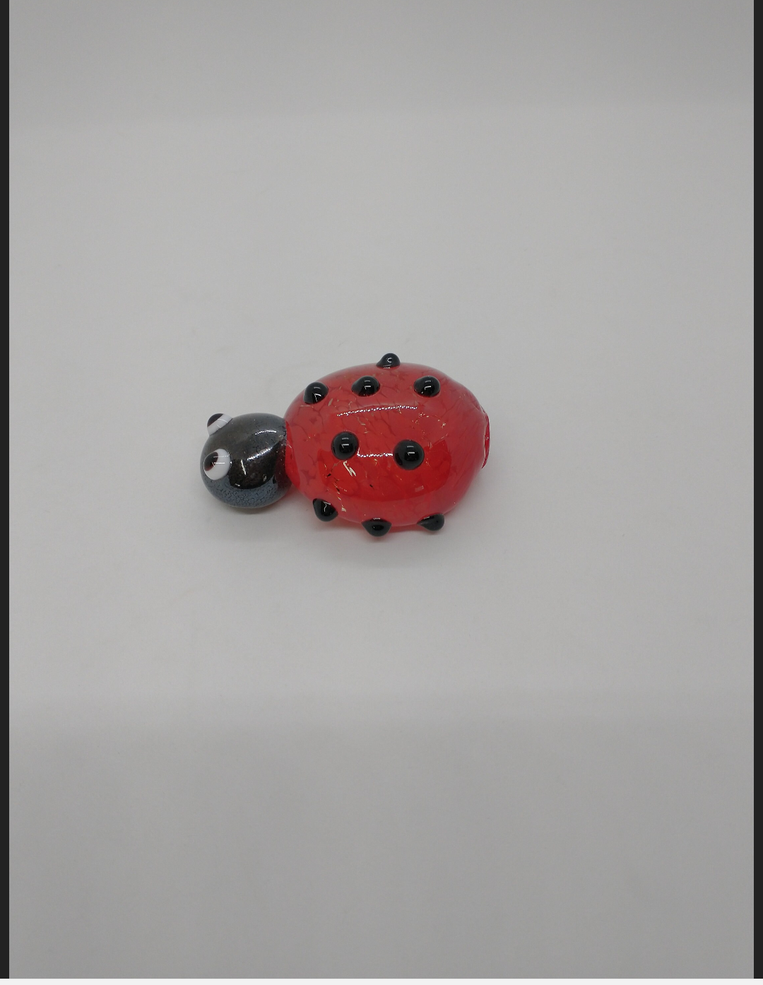 Single glass lady bug