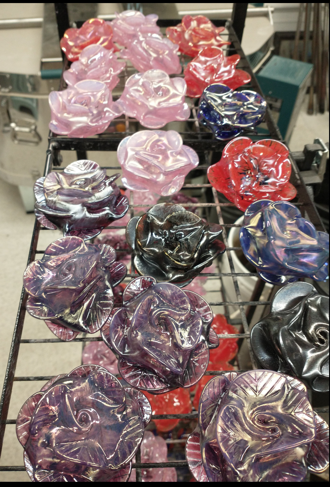 Roses