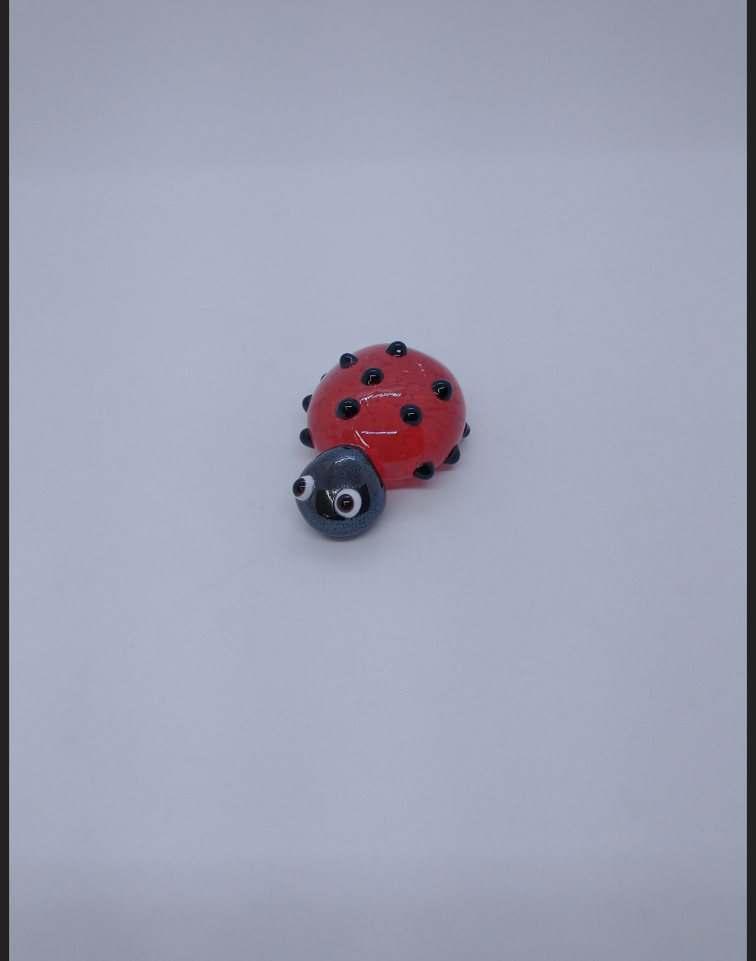 Single glass lady bug